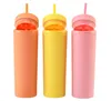 12 kleuren 16oz acryl rechte slanke tuimelaar matte gekleurde dubbele muur 500ml plastic tumblers koffie drinken sippy beker herbruikbare mok met deksels gratis rietjes