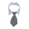 Animal de compagnie chat chien vêtements cravate réglable rayé chiot cravate accessoires pour petits chiens mariage vacances fête cadeau