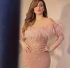 Vestido de las mujeres vestido de noche Pink Feather Beads Yousef aljasmi Kendal Jenner Mujer vestido Kim Kardashian Manga larga Funda Mini