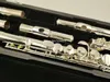 Zupełnie nowy Muramatsu Alto Flute G Tune 16 Zamknięte klucze dziury Sliver Pleated Professional Musical Instrument z przypadku 5412448