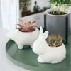 Ceramic Flower Pot Succulent Plant Animals Shape Planters Pots Flowerpot for Home Office Garden Desktop Decor Bonsai Y200723