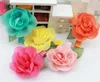 New Fashion Kids Baby Accessories Children Girls Hair Ornaments Hair Bands Hair Clips Rose Flower Princess Baby Party Headwear mix229K