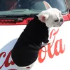 부드럽고 따뜻한 개 재킷 디자이너 개 의류 애완 동물 의류 작은 개를위한 인쇄 셔츠 치와와 chihuahua yorkie french bulldog346a