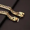 PMGPET Pet Gold Chain Puppy Collier en acier inoxydable Bulldog Laisse 17mm Petit Moyen Grand Collier de chien 201030