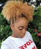 Jordgubbe Blondin Kinky Curly Penytail Clip In Virgin Human Hair Extension Short High Afro Kinky Curly Puff 120g