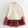 Sodawn Girls Dress Primavera Autunno Flower Princess Dress Brand Abbigliamento per ragazze Abbigliamento per bambini Cute Animal Style Girls Abiti LJ201221