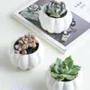 3 Tier Indoor Desk With Drainage Pumpkin Succulent Pots Mini Home Office Garden Decoration Bamboo Stand Set Planter Modern Y200723