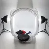 Light Stands Booms Studio LightBox Pro fotograferingsutrustning Fällbar 50cm Pop Up Photo Studio Soft Box Softbox Lighting Tent 4 Backdrops