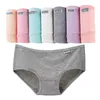 7 PCS Underwear Mulheres Plus Size Calcinha Calcinhas Briefs Sexy Lingeries Calcinha Calcinhas Calções de Algodão Cueca Cueca Cueca Intimates LJ200822