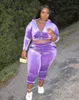 Grande taille femmes vêtements ensemble décontracté velours couleur unie à manches longues à capuche haut court pantalon ensembles grande taille femmes deux pièces tenues