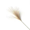 Real Pampas Decor Decor Fleurs séchées naturelles Fleurs de mariage Fleurs de fleur sèche Bouquet Fluffy Lovely For Holiday Home Decor Fast 9690700