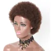 Afro kinky Curly Synthetic Brown Wig Simulation Human Hair Perruques de cheveux humains pelucas Wigs For Blackk Women JS5881