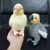 Mini taille réaliste gris calopsitte jouets en peluche vraie vie doux jaune perroquet oiseaux peluches jouet poupées cadeaux pour les enfants LJ2011263001621