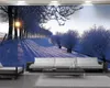 3D壁画の壁紙モダンな家の装飾の壁紙美しい雪のシーンカスタム3D写真の壁紙の家の装飾