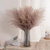 50pc Natural Pampas Grass Roseaux Fleurs séchées décorations d'automne pour la maison Fleurs réelles mariage décor de maison fausses plantes1717969