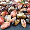 Regalo de vacaciones 5 piezas Hermosas piedras naturales Sardonyx caídas y minerales Piedras preciosas de ágata de palma Cristales curativos para la decoración del hogar RRA12295