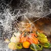 décorations de citrouille pour halloween