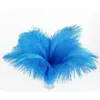 Wholesale a lot 10-12 inch 25-30cm beautiful ostrich feathers for Wedding centerpiece Table centerpieces Party Decoraction supply