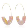 Rinhoo Fashion Multi-Color Leopard Big Hook Acrylic Earrings for Women Special Design Semicircle Resin Drop Earrings Brincos