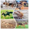 Hondenharnas Duitse herder huisdier kraagkraag Harness Service Hondenvest met handvataccessoires voor kleine honden 201101