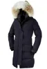 Women's Down Jacket Down Parkas Real Raccoon päls krage vit anka ytterkläder rockar kvinnor av moderock