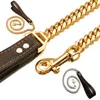 Golden Silver Rostfritt stålkedja med svart läderhund Leash Cool Training Pet Supplies 1020288a