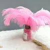 200pcspack 1012 tum Ostrich Feather Party Decoration Plume Craft levererar bröllopbord Centerpiecesweb Celebrity Wall Decorat7086939