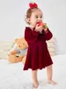 Baby Contrast Lace Ruffle Trim Flounce Sleeve Velvet Dress SHE