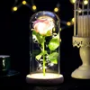 Rose Lasts Forever With Led Lights In Glass Dome Valentine's Day Wedding Anniversary Birthday Gifts Party Decoration 5 Colors DHL Ship