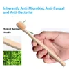 100pcs diş fırçası çevre dostu gökkuşağı bambu yumuşak fiber diş fırçası biyolojik olarak parçalanabilir dişler fırça katı bambu kolu253c