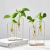 Woondecoratie accessoires moderne bloem vazen ​​voor huizen transparante hydrocultuur glas vaas woonkamer decoratie terrarium LJ201208