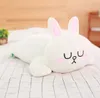 Brown and Cony Plush Toy Brown Bear Cony Ranima Oreiller Sofa Bureau Bureau Poupée anime périphérique Oreiller de sommeil Brown Bear Rabbit 204947777