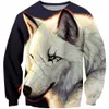 Wolf/Horse/Lion/Clowns Boys Sweatshirt Teens Spring Autumn Pullover For Boys Kids Clothes Children Long Sleeve Pullover Tops LJ201012