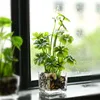 نباتات Erxiaobao الاصطناعية مع محاكاة وعاء زجاجي بوكساي وضعت أخضر اللون البرسيم ذو أربع أوراق الجدول المنزلي زخرفة T200330