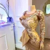 NEU! Gold Aso Ebi Meerjungfrau Abendkleider Lange Ärmel Sheer Neck Sweep Zug Plus Größe Floral Spitze Prom Party Kleider Für arabische Frauen 2022