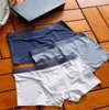 Blue White Grey 3 Pieces Underwear Suit For mens Classics All Cottn Simple Joker Everyday Briefs With Gift Box