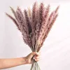 Geschenke für Frauen Pampasgras 30 Stück Dekoration Trockenblumen Natürliches Schilfrohr Phragmites Haufen Communis Dekoration Schachtelhalm Schneebesen Lagurus Ovatus