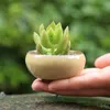 Ceramics Potted Plants Pots Mini Succulents Flowerpot Garden Cactus Flower Pot Home Balcony Office Desktop Decoration Pot BH6154 WLY