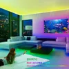 LED Strip Luces Para Habitacion USB Powered LED Mural Chambre RGB 5050 Lights for Room Fita LED's Bande-app Controle Bluetooth