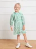 Toddler Girls Ruffle Neck Flounce Sleeve Lace Dress SHE