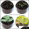 Plantadores potes p￡tio gramado home 100pcs planta ber￧￡rio de flor das bandejas de mole