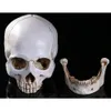 Lifesize modèle de crâne humain réplique résine traçage Anal enseignement squelette Halloween décoration Statue Y201006209W