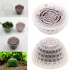 DIY Aquarium Aquarium Fish Tank Moss Decor Ball Decor do żywych roślin wodnych dekoracje wodne akwarium akwarium ryb 79298144