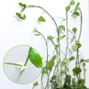 3 Size Invisible Rattan Clamp Plant Climbing Clip Vines Fixture Wall Sticky Hook Holder Garden Supplies 1PC C0125