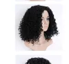 Ombre Synthetic Afro Short Kinky Curly Lace Front Wigs with baby hair Heat Resistant Top Fiber Wigs for Black Women n18