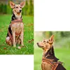 Truelove Yumuşak Örgü Yastıklı Naylon Köpek Kablo Demeti Yansıyıcı Güvenlik Köpek Yaka Kolay Pet Kablo Demetine Koy Bir% 24 İndirim 5 Renk 201101