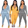 Mulheres Ao Ar Livre Tracksuits Bordado Dois Peça Esporte Outfits Rosa Velor Sweatsuits Zipper Bolso Longo Manga De Manga Comprida + Pant Bext Sets