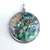 Pendentif Arbre de Vie Abalone Coquille de Paua Naturelle Paon Abalone Cercle Rond Organique Cabochon 5 Pièces