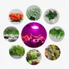 COB LED Grow Light Full Spectrum 100W Waterproof IP67 Growing Phyto Lamp For Vegetable Flower Indoor Hydroponic Greenhouse Plant Lighting La