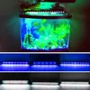 熱い販売18W 78LED全体のスペクトルの水の芝生ランプ23.6インチ黒高品質水族館ライト（23.6-31.49インチロング水族館に適しています）